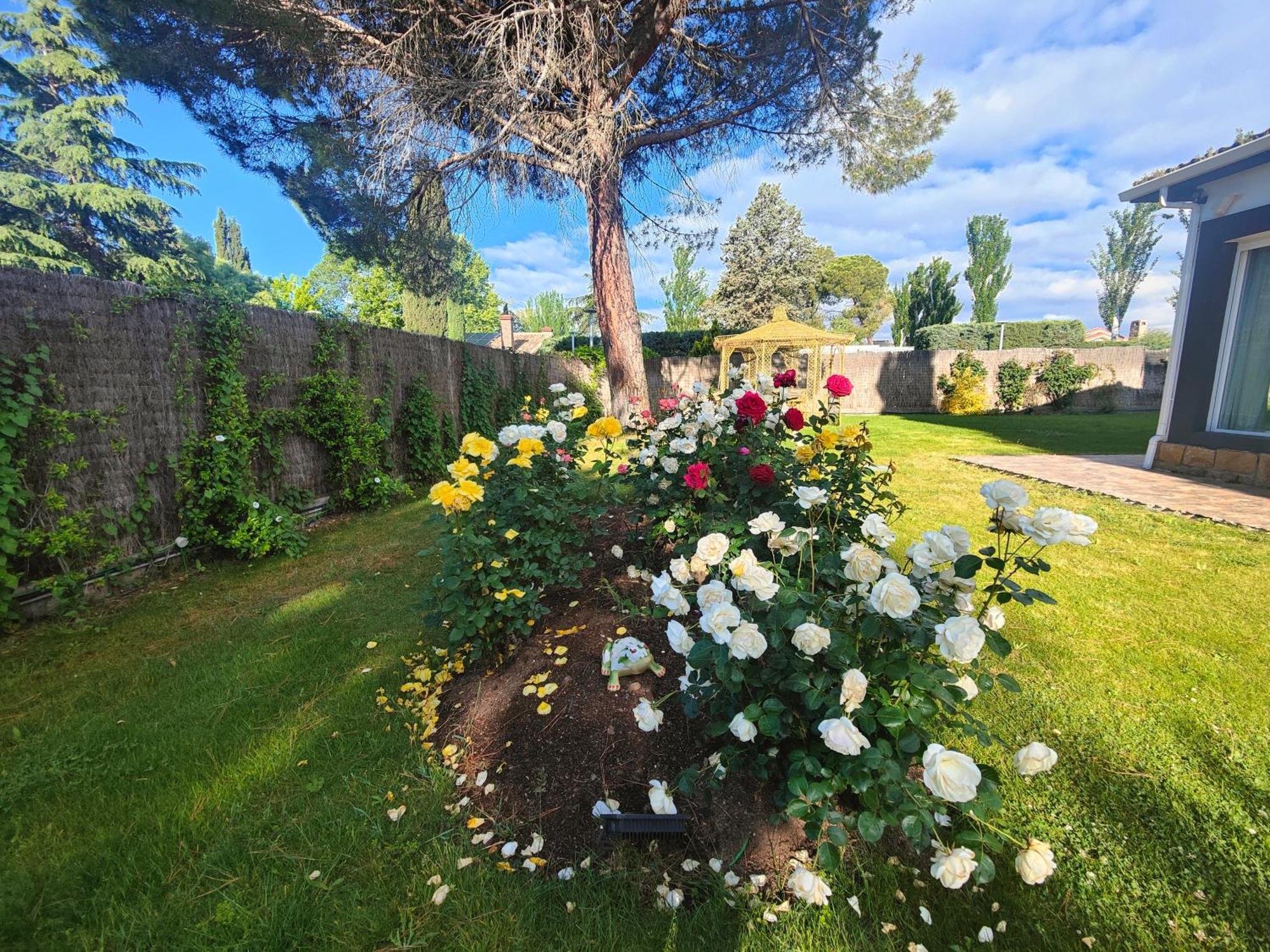 Chalet Con Piscina Y Jacuzzi En Madrid Alquila Habitaciones Algete Exterior photo